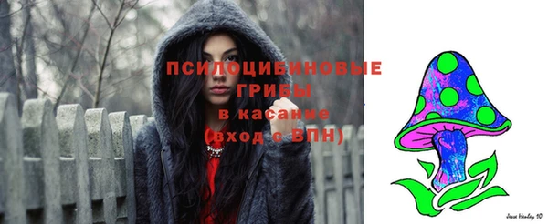 мдпв Ельня