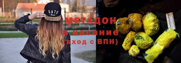 мдпв Ельня