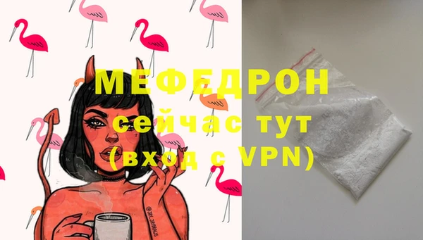 мдпв Ельня