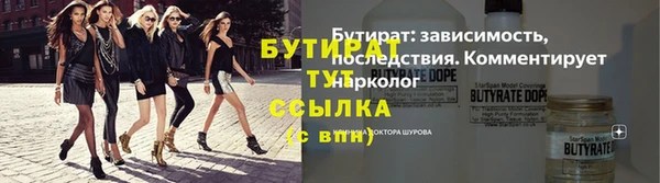 ГАЛЛЮЦИНОГЕННЫЕ ГРИБЫ Дмитриев