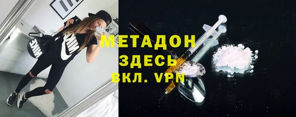 ГАЛЛЮЦИНОГЕННЫЕ ГРИБЫ Дмитриев