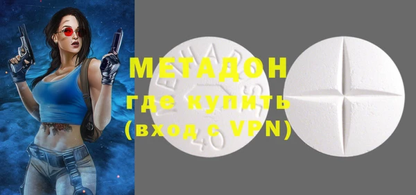 мдпв Ельня