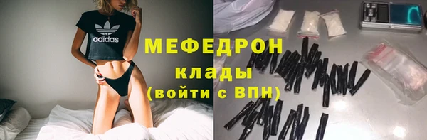 мдпв Ельня