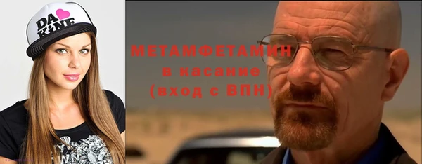 мдпв Ельня
