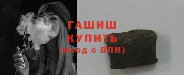 ГАЛЛЮЦИНОГЕННЫЕ ГРИБЫ Дмитриев