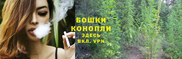 трава Дмитровск