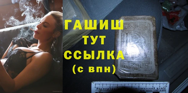 ГАЛЛЮЦИНОГЕННЫЕ ГРИБЫ Дмитриев