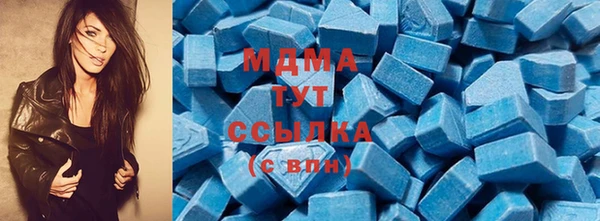 мдпв Ельня