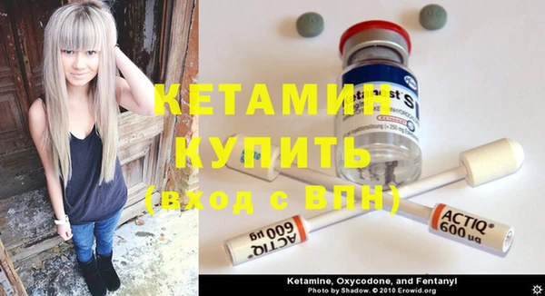 мдпв Ельня