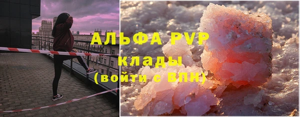 мдпв Ельня