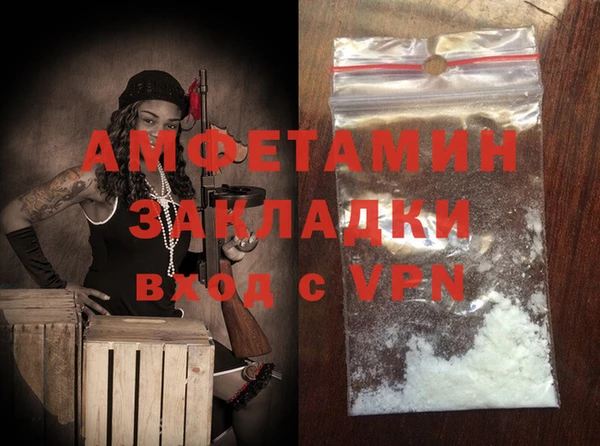 мдпв Ельня