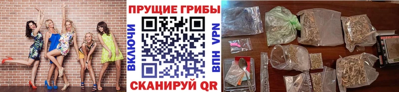 Псилоцибиновые грибы ЛСД  Кандалакша 