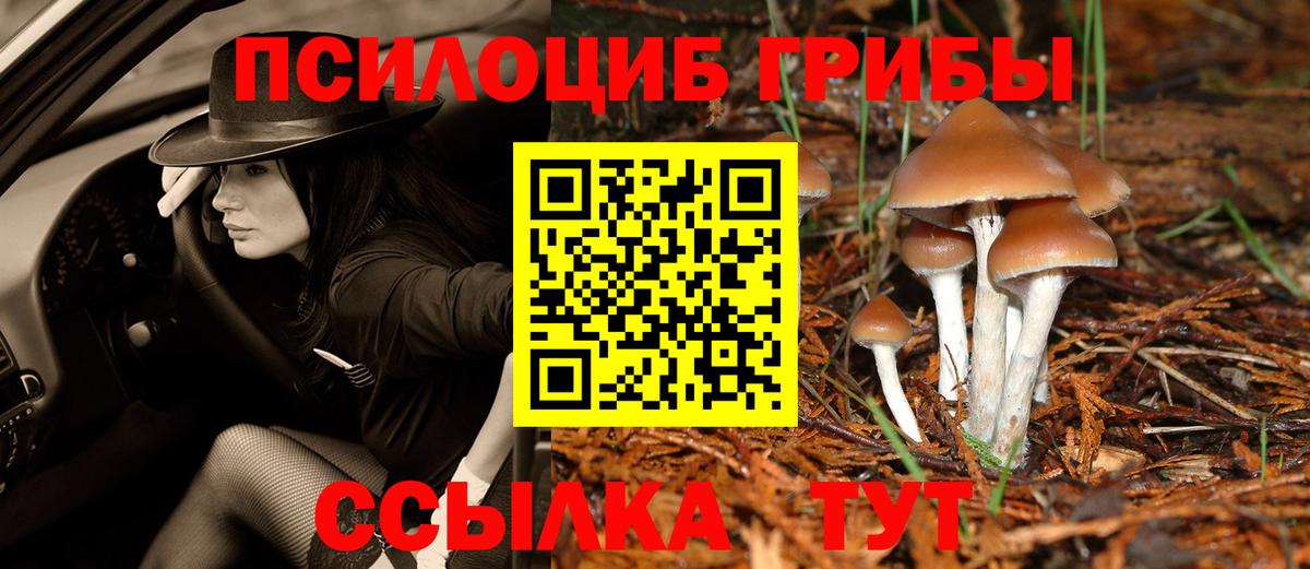 Псилоцибиновые грибы мухоморы Кандалакша