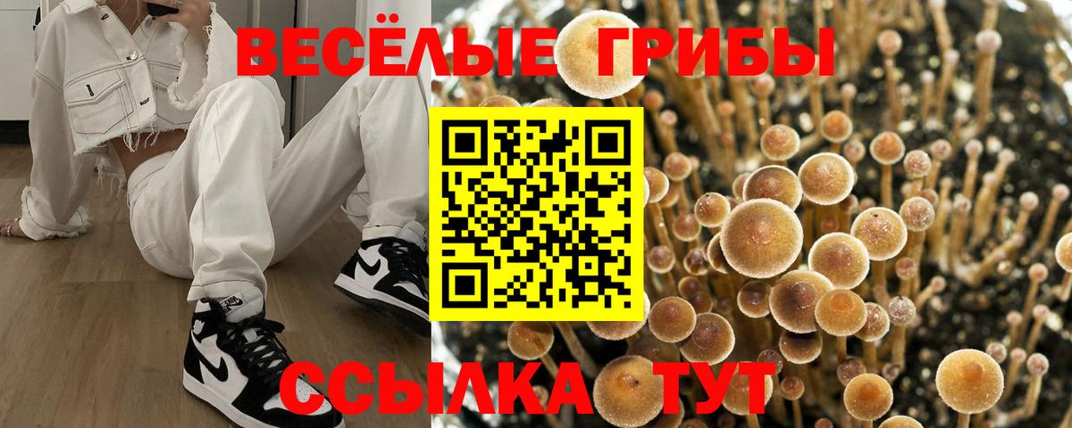 Кандалакша  Галлюциногенные грибы GOLDEN TEACHER  Вход с VPN 